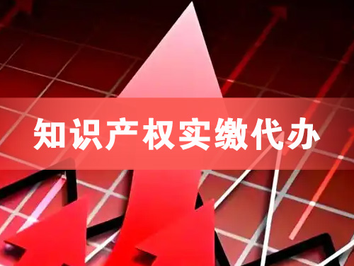 韩城知识产权实缴资本代办